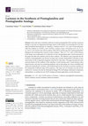 Research paper thumbnail of Lactones in the Synthesis of Prostaglandins and Prostaglandin Analogs