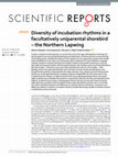 Research paper thumbnail of Diversity of incubation rhythms in a facultatively uniparental shorebird – the Northern Lapwing