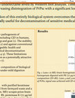 Research paper thumbnail of A novel enzymatic composition effective for prion degradation