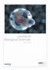 Research paper thumbnail of Screening and Characterization of Aerobic Xylene-Degrading Bacteria from Gasoline Contaminated Soil Sites Around Gas Stations in Northern Jordan