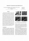 Research paper thumbnail of Radiometric compensation using stratified inverses