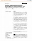 Research paper thumbnail of Inhibition of Angiotensin-Converting Enzyme Reduces Cerebral Infarction Size in Experimental-Induced Focal Cerebral Ischemia in the Rat