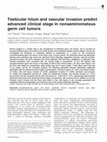 Research paper thumbnail of Testicular hilum and vascular invasion predict advanced clinical stage in nonseminomatous germ cell tumors