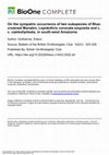 Research paper thumbnail of On the sympatric occurrence of two subspecies of Blue-crowned Manakin, Lepidothrix coronata exquisita and L. c. caelestipileata, in south-west Amazonia