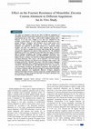 Research paper thumbnail of Effect on the Fracture Resistance of Monolithic Zirconia Custom Abutment in Different Angulation: An In Vitro Study