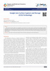 Research paper thumbnail of Insight into Carbon Capture and Storage (CCS) Technology