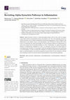 Research paper thumbnail of Revisiting Alpha-Synuclein Pathways to Inflammation