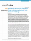 Research paper thumbnail of Worldwide diversity of endophytic fungi and insects associated with dormant tree twigs