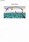 Research paper thumbnail of Hydrogen donation of bio-acids over transition metal facets: A density functional theory study