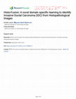 Research paper thumbnail of Histo-fusion: a novel domain specific learning to identify invasive ductal carcinoma (IDC) from histopathological images