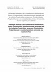 Research paper thumbnail of Plasticidad fenotípica de la cianobacteria Rhabdoderma lineare (Chroococcales, Synechococcaceae) asociada con la rodofita Porphyridium purpureum (Porphyridiales, Porphyridiaceae) en comunidad planctónica de humedal, nuevos registros para el Perú