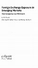 Research paper thumbnail of Foreign Exchange Exposure in Emerging Markets. A Holistic Approach to Minimising Its Effects on Multinational Enterprises