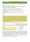 Research paper thumbnail of Photosynthetic response of lutein-deficient mutant lut2 of Arabidopsis thaliana to low temperature at high light