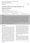 Research paper thumbnail of Non-Cancer Pain in the Adult Population: An Integrative Review