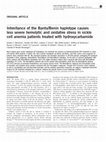 Research paper thumbnail of Inheritance of the Bantu/Benin haplotype causes less severe hemolytic and oxidative stress in sickle cell anemia patients treated with hydroxycarbamide