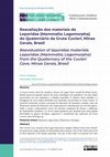 Research paper thumbnail of Reavaliação dos materiais de Leporidae (Mammalia; Lagomorpha) do Quaternário da Gruta Cuvieri, Minas Gerais, Brasil