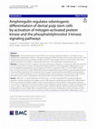 Research paper thumbnail of Amphiregulin regulates odontogenic differentiation of dental pulp stem cells by activation of mitogen-activated protein kinase and the phosphatidylinositol 3-kinase signaling pathways