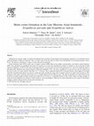 Research paper thumbnail of Molar crown formation in the Late Miocene Asian hominoids, Sivapithecus parvada and Sivapithecus indicus