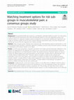 Research paper thumbnail of Matching treatment options for risk sub-groups in musculoskeletal pain: a consensus groups study