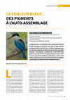 Research paper thumbnail of La Couleur Bleue : des pigments à l'auto-assemblage