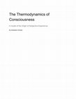 Research paper thumbnail of The Thermodynamics of Consciousness A model of the Origin of Subjective Experience