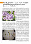 Research paper thumbnail of Pasado, presente y futuro de una invasión biológica: Eichhornia crassipes (Mart.) Solms (camalote) en el río Guadiana