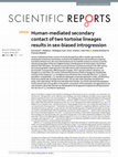 Research paper thumbnail of Human-mediated secondary contact of two tortoise lineages results in sex-biased introgression