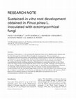 Research paper thumbnail of Sustained in vitro root development obtained in Pinus pinea inoculated with ectomycorrhizal fungi