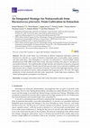 Research paper thumbnail of An Integrated Strategy for Nutraceuticals from Haematoccus pluvialis: From Cultivation to Extraction