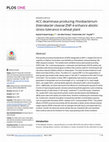 Research paper thumbnail of ACC deaminase producing rhizobacterium Enterobacter cloacae ZNP-4 enhance abiotic stress tolerance in wheat plant