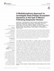 Research paper thumbnail of A Multidisciplinary Approach to Investigate Deep-Pelagic Ecosystem Dynamics in the Gulf of Mexico Following Deepwater Horizon