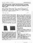 Research paper thumbnail of VDE endonuclease cleaves<i>Saccharomyces cerevisiae</i>genomic DNA at a single site: physical mapping of the<i>VMA1</i>gene