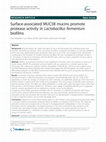 Research paper thumbnail of Surface-associated MUC5B mucins promote protease activity in Lactobacillus fermentum biofilms