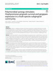 Research paper thumbnail of Polymicrobial Synergy Stimulates Porphyromonas Gingivalis Survival And Gingipain Expression In A Multispecies Subgingival Community