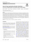 Research paper thumbnail of Zircon U-Pb ages, geochemistry and isotopic characteristics of the Chu Lai granitic pluton in the Kontum massif, central Vietnam