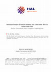 Research paper thumbnail of Micromechanics of brittle faulting and cataclastic flow in Alban Hills tuff