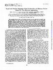 Research paper thumbnail of Rapid and precise mapping of the Escherichia coli release factor genes by two physical approaches