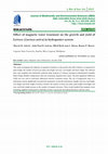 Research paper thumbnail of Effect of magnetic water treatment on the growth and yield of Lettuce (Lactuca sativa) in hydroponics system