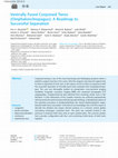 Research paper thumbnail of Ventrally Fused Conjoined Twins (Omphaloischiopagus): A Roadmap to Successful Separation