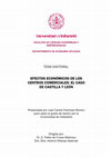 Research paper thumbnail of Efectos económicos de los centros comerciales: el caso de Castilla y León