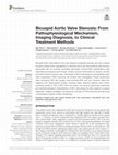 Research paper thumbnail of Bicuspid Aortic Valve Stenosis: From Pathophysiological Mechanism, Imaging Diagnosis, to Clinical Treatment Methods