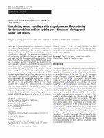 Research paper thumbnail of Inoculating wheat seedlings with exopolysaccharide-producing bacteria restricts sodium uptake and stimulates plant growth under salt stress  	