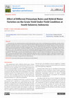 Research paper thumbnail of Grain yield, Hybrid maize, Potassium level, South Sulawesi, Soil properties, Plant height, Maize cob diameter, Agro-ecological, Potassium fertilizer, Cob diameter, Environmental condition, Crop diseases, Nitrogen, Phosphorus, oil and agroclimate, Agricultural food crops, Boil smut, Leaf blight, S...