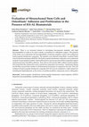 Research paper thumbnail of Evaluation of Mesenchymal Stem Cells and Osteoblasts’ Adhesion and Proliferation in the Presence of HA-AL Biomaterials