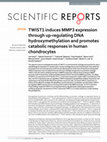 Research paper thumbnail of TWIST1 induces MMP3 expression through up-regulating DNA hydroxymethylation and promotes catabolic responses in human chondrocytes