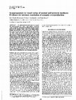 Research paper thumbnail of Synaptogenesis in visual cortex of normal and preterm monkeys: evidence for intrinsic regulation of synaptic overproduction