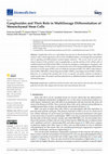 Research paper thumbnail of Gangliosides and Their Role in Multilineage Differentiation of Mesenchymal Stem Cells