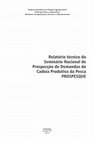 Research paper thumbnail of Relatório técnico do Seminário Nacional de Prospecção de Demandas da Cadeia Produtiva da Pesca: PROSPESQUE