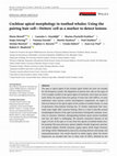 Research paper thumbnail of Cochlear apical morphology in toothed whales: Using the pairing hair cell—Deiters' cell as a marker to detect lesions