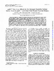 Research paper thumbnail of PP60C-SRC Has Less Affinity for the Detergent-Insoluble Cellular Matrix Than Do PP60V-SRC and Other Viral Protein-Tyrosine Kinases